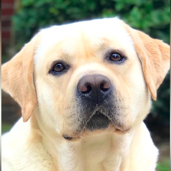 Meet your Posher, M - Picture 1 of 1